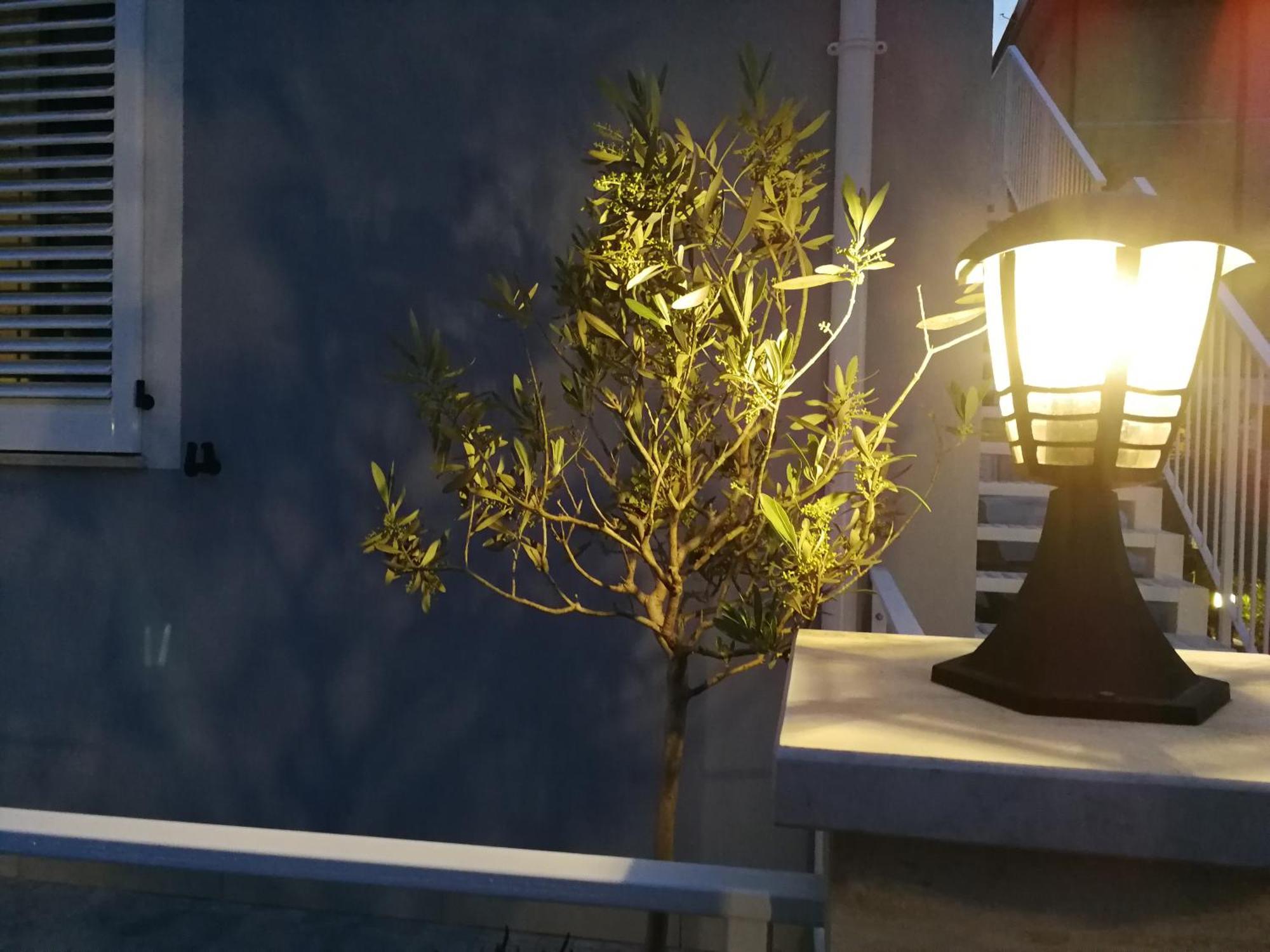 Alcivico3 Bed & Breakfast Civitanova Marche Exterior foto